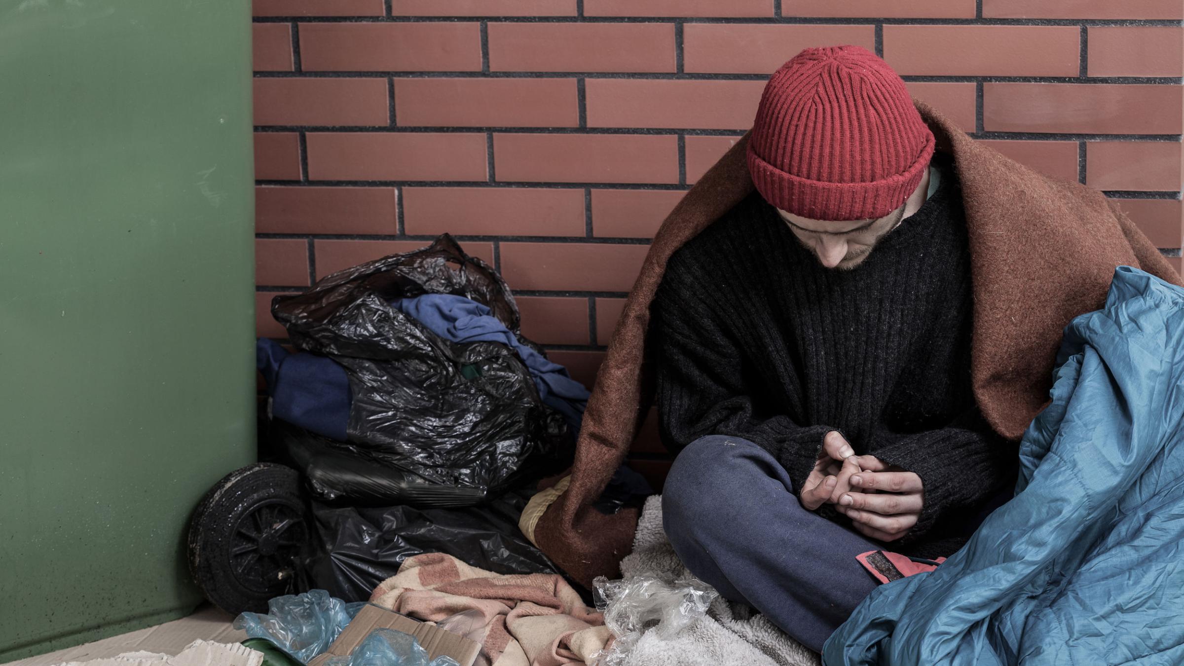 Презентация на тему бездомные собаки. Проект на тему бездомные животные. Решения проблемы безнадзорных животных. Бездомные животные проект презентация. Способы решения проблемы бездомных животных.