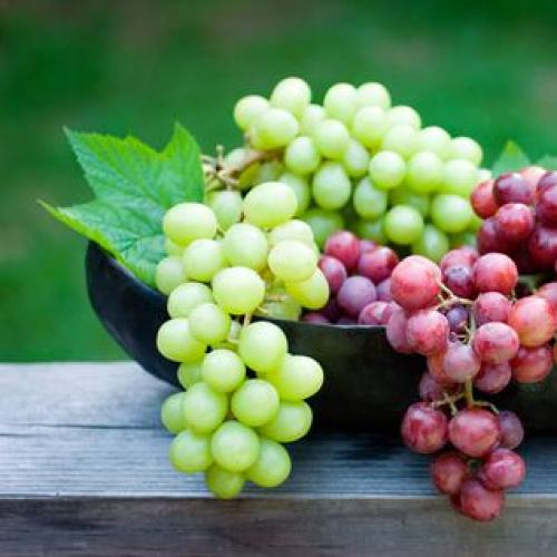 The Unbelievable Grape Story That Australia Needs Right Now