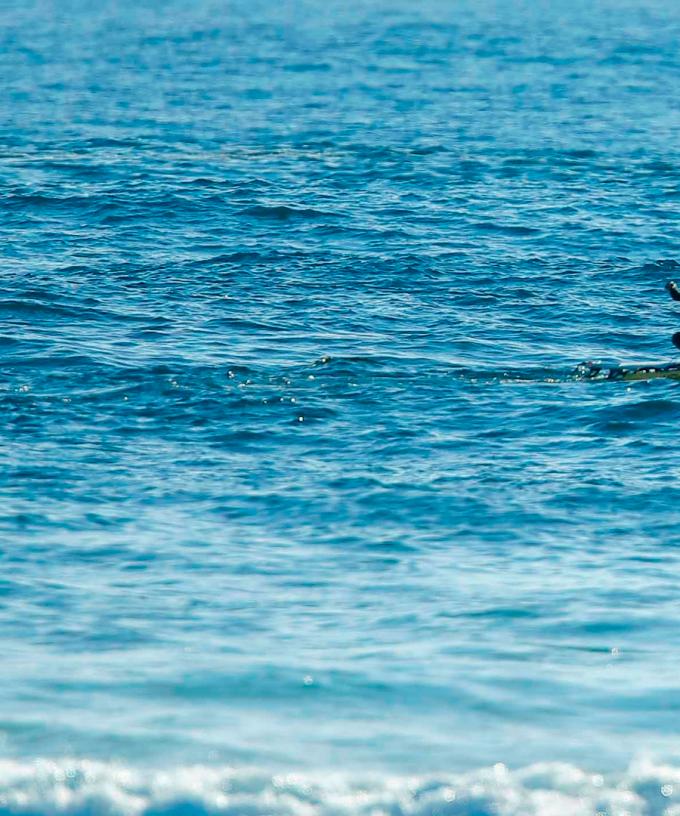 Second Shark Spotted At Margaret River Pro