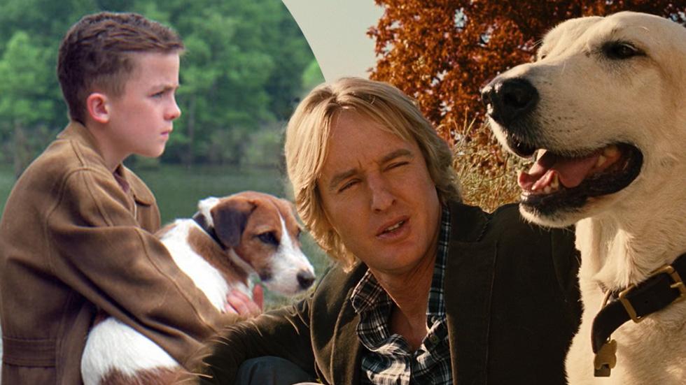 This Website Warns You Whether A Dog Dies In A Movie