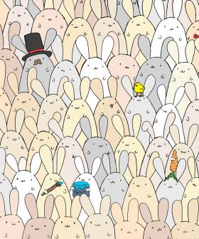 Can You Spot The Easter Egg Among The Bunnies?