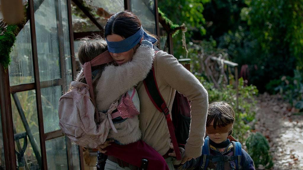 Netflix Issues Danger Warning For The 'Bird Box Challenge'