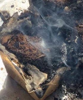 Oh No... Woolworths Discovery Garden 'Spontaneously Combusts'