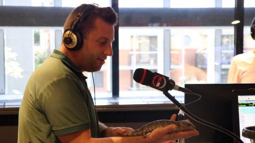 Dr Peter Ricci surprises Botica's Bunch with a live animal!