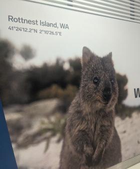 Perth Airport's Response To Rottnest Billboard Blunder Was A Pretty Decent Save