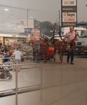 Australian Shopping Centre Slammed Over Real Reindeer Appearing In Their Christmas Parade