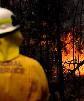 Bushfire Assistance Under Cyber Attack