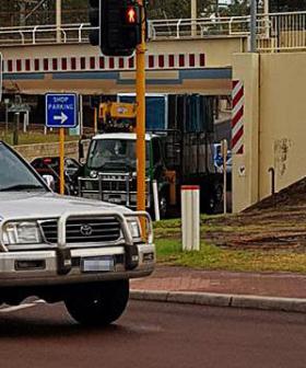 Notoriously Hungry Baysie Bridge Claims First Victim For 2020