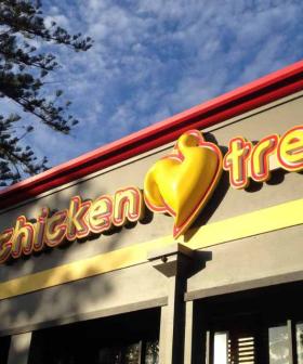 Chicken Treat Wants to Pay You To Eat Chicken Treat