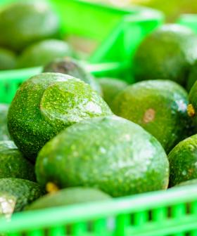 Lettuce Keeps Avo Fresh For An Entire Week And Other Ingenious #Hacks