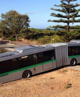 Bendy Bus Gets Bogged For Three Hours Near Rockingham