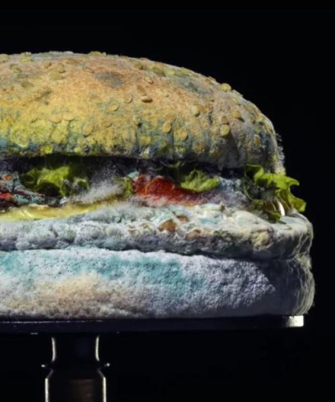Why Burger King Is Using A 35 Day Old Mouldy Whopper In Its New Ad