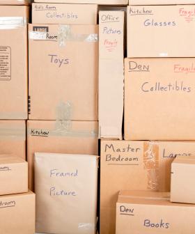 What Did The Movers Damage Of Yours?