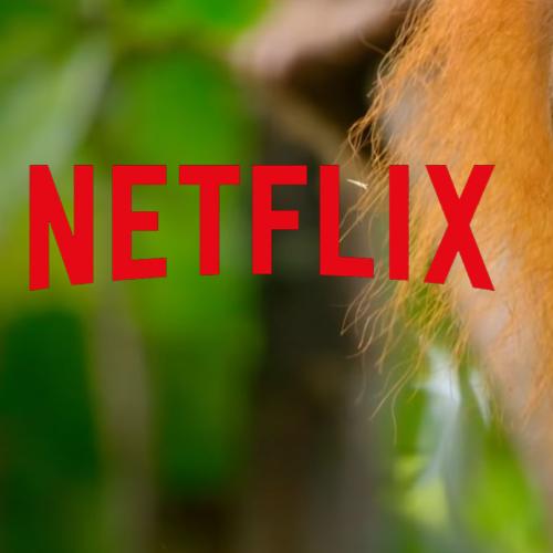Netflix Has Just Put A Bunch Of Documentaries Up On YouTube For Free