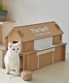 Samsung Has Redesigned Its TV Boxes So They Can Be Rebuilt Into A House For Your Cat!