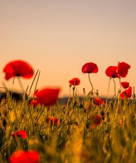 Join Us In Commemorating Our ANZACs With The Driveway Dawn Service