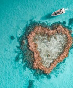 This Heart-Shaped Reef Isn’t Just Holiday Inspo, We Want To Actually Send You There
