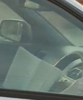 Police Throw The Book At Motorist For Reading Novel While Behind The Wheel