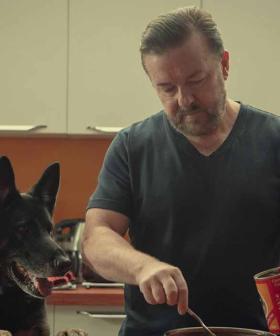 'It's All Your Fault': Ricky Gervais Confirms Season 3 Of Netflix Hit 'After Life'