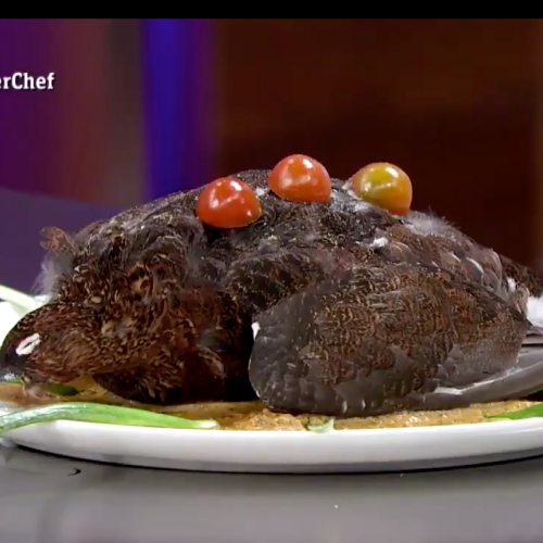 A Salty Spanish Masterchef Contestant Served An Untouched Dead Bird As A Message To The Judges.