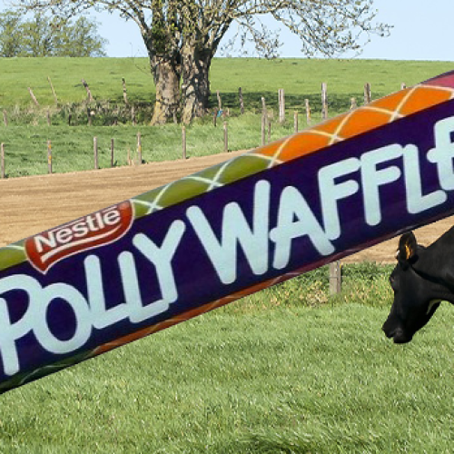 There Are Now Calls To 'Veganise' The Polly Waffle When It Returns To Shelves