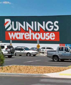 Bunnings Warehouse Have Just Launched A New Collectible Range For Kids