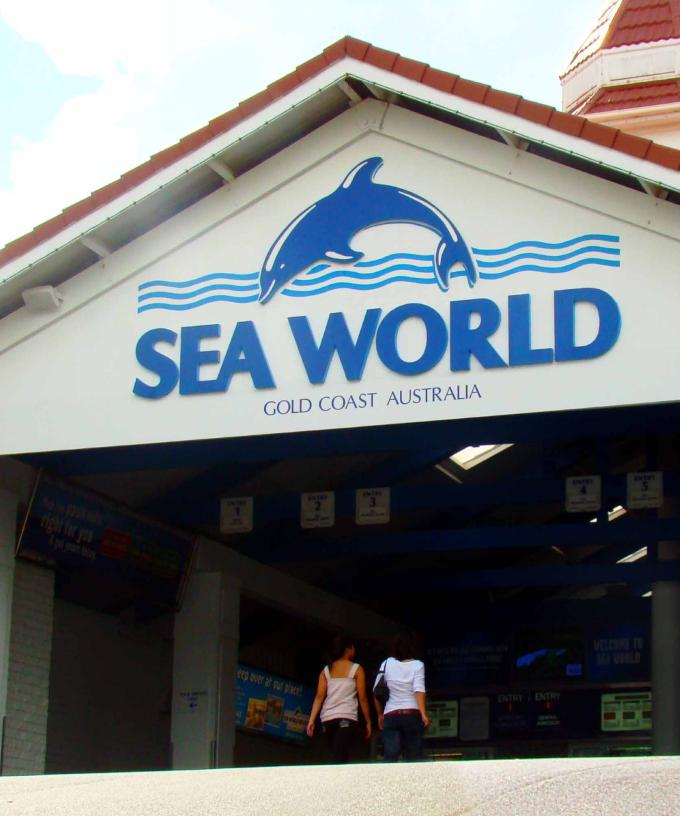 What Afl Wags Did To Breach Covid Protocols In Queensland