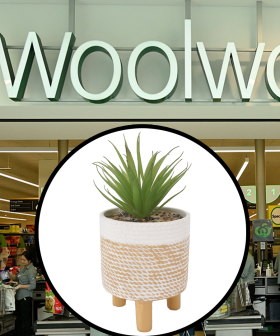 Woolworths Have Now Released Their Own Homewares Range & It's Pretty Snazzy