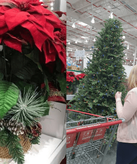 Costco Is Already Selling Christmas Deccos And It's Still August (Just)