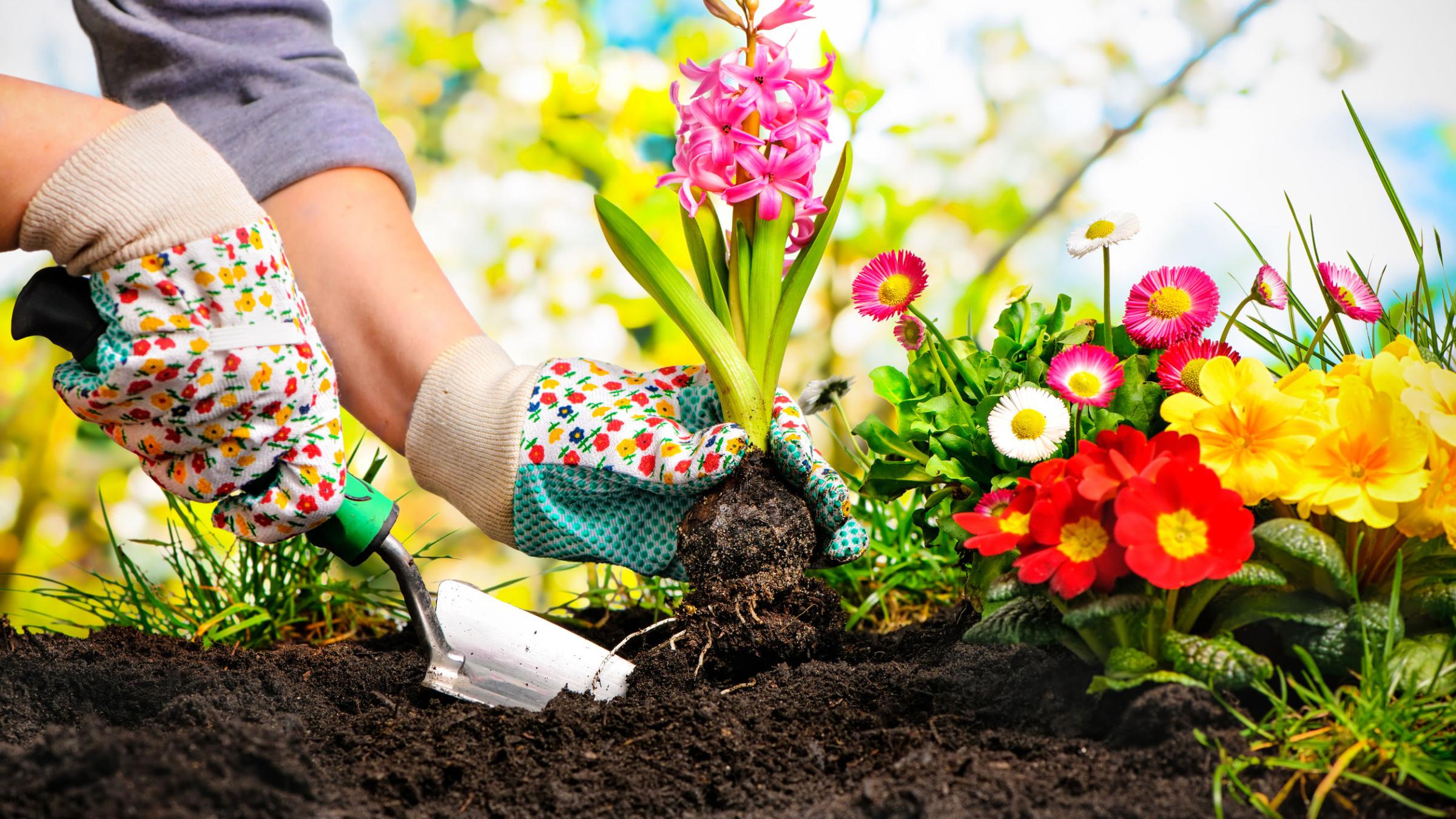Port Adelaide Have Printed The Wrong Date On Their New Beanies