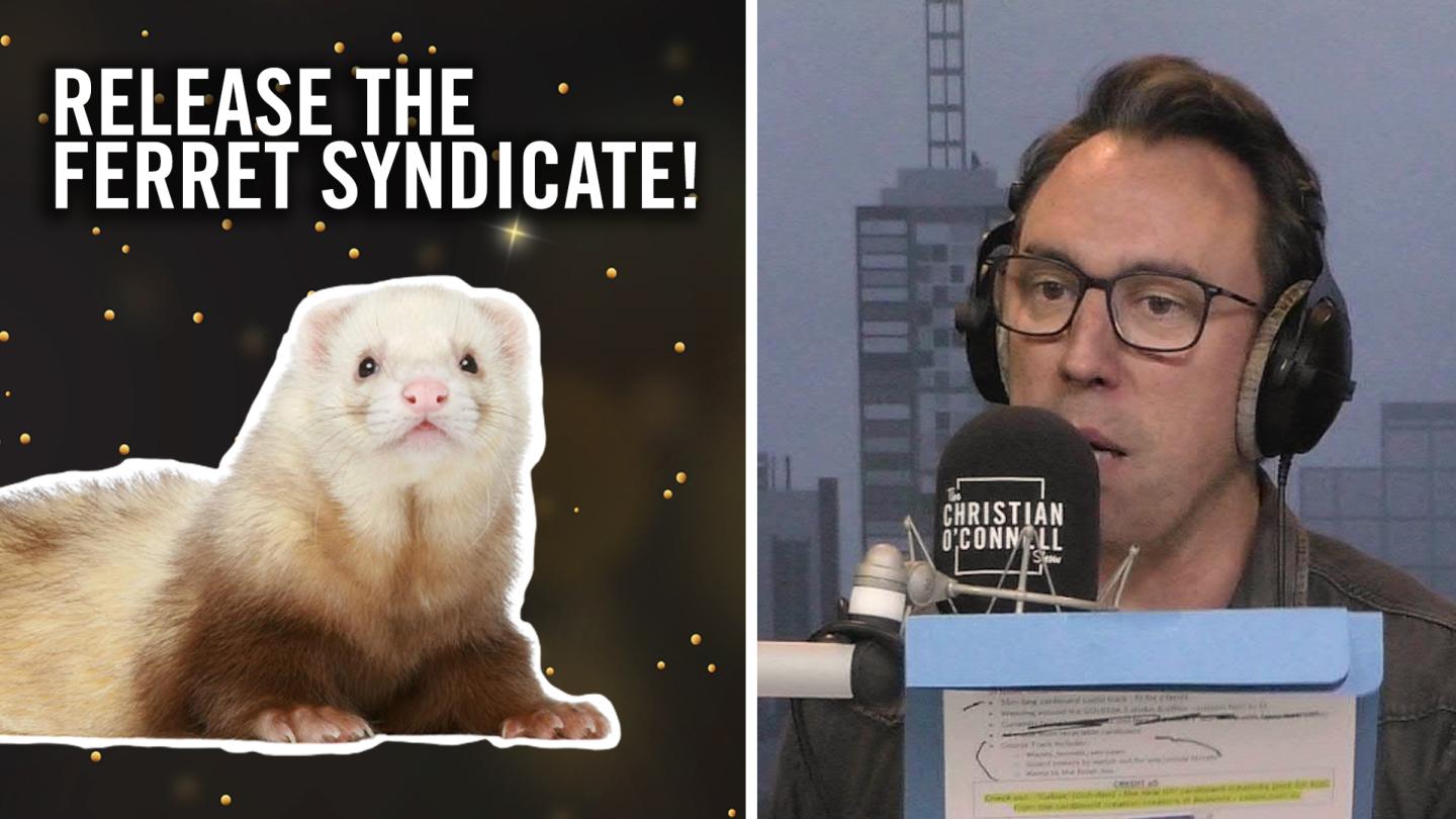 Release The Ferret Syndicate!