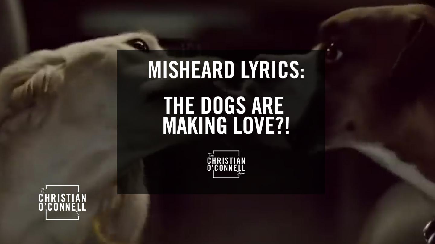 Misheard Lyrics: The Dogs are Making Love?!