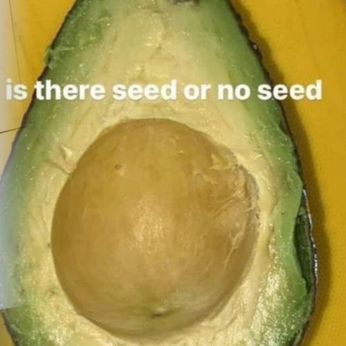 Seed Or No Seed? This Photo Of An Avocado Has The Internet Totally Divided