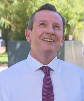 'His Name Is Clive': McGowan’s Presser On Gun Laws Crashed By Feisty Crow