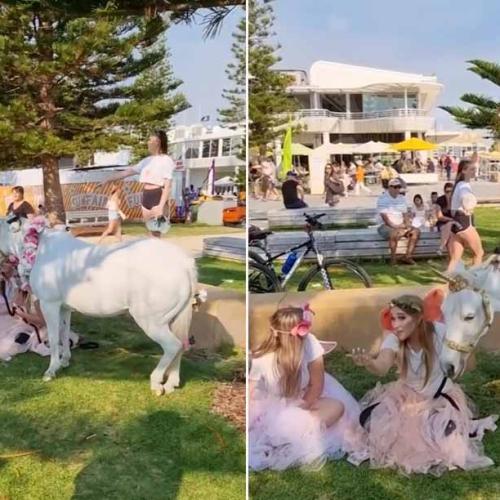 Vegan Activist At It Again, This Time Accusing Children's Party Pony Handlers Of 'Slavery'