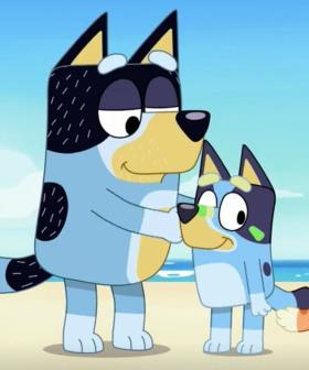 Bluey Criticised For Not Having 'Disabled, Queer Or Single-Parent Dog Families'
