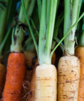 Apparently We've Been Using Carrot Tops Wrong This Whole Time