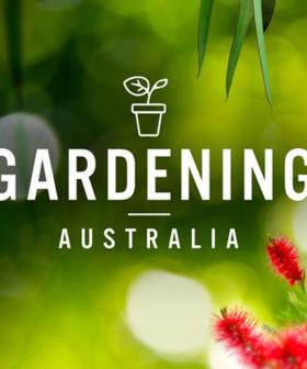 'Gardening Australia' Host Peter Cundall Dies At 94