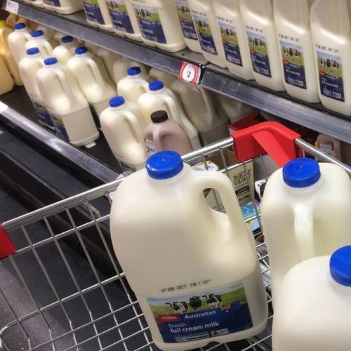 Supermarket Scraps The 'Use By' Date On Milk, Preferring Sniff Test