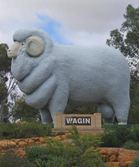 Magnitude 4.7 Quake Rocks WA Wheatbelt, Giant Ram OK