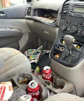 Are These Some Of The Dirtiest Cars In Perth?