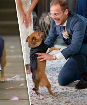 Finn The Dog Becomes An Instant Celebrity After Stealing The Show On MAFS