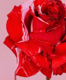 Perth Florist Won't Be Selling Roses On VDay Because They Can't Get Any