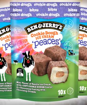Ben & Jerry's Have Released Ice Cream Bites And Good Luck Not Eating The Whole Pack At Once