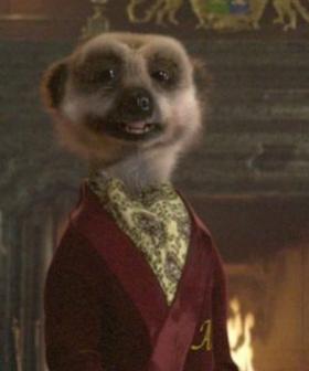 The World's Most Well-Known Meerkats Pulled From UK Ads Over Conflict