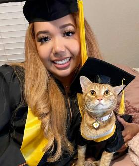 Cat 'Graduates' From University After Attending Every Zoom Lecture With Owner