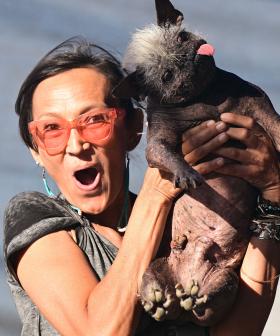 Meet The 2022 'World's Ugliest Dog' Winner, Mr Happy Face!