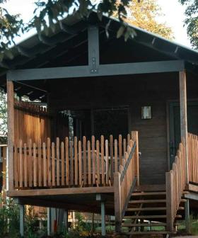 You Can Now Spend A Night Among The Gumtrees At Australia Zoo