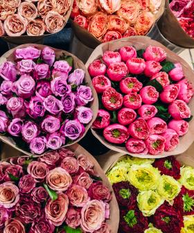 How You Could Score Free Flowers From Coles...