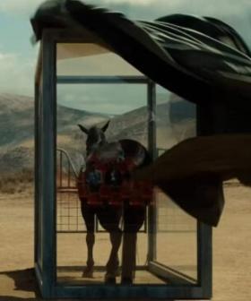 Our Movie Reviewer Gives Jordan Peele's 'Nope' A Massive 'Yep'